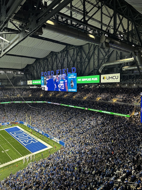 Detroit Lions